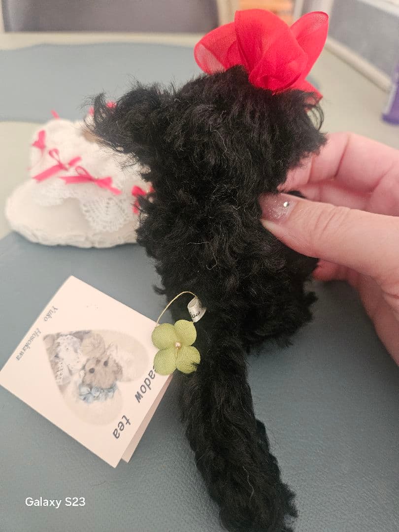 細川さん作品、タイタニックの猫