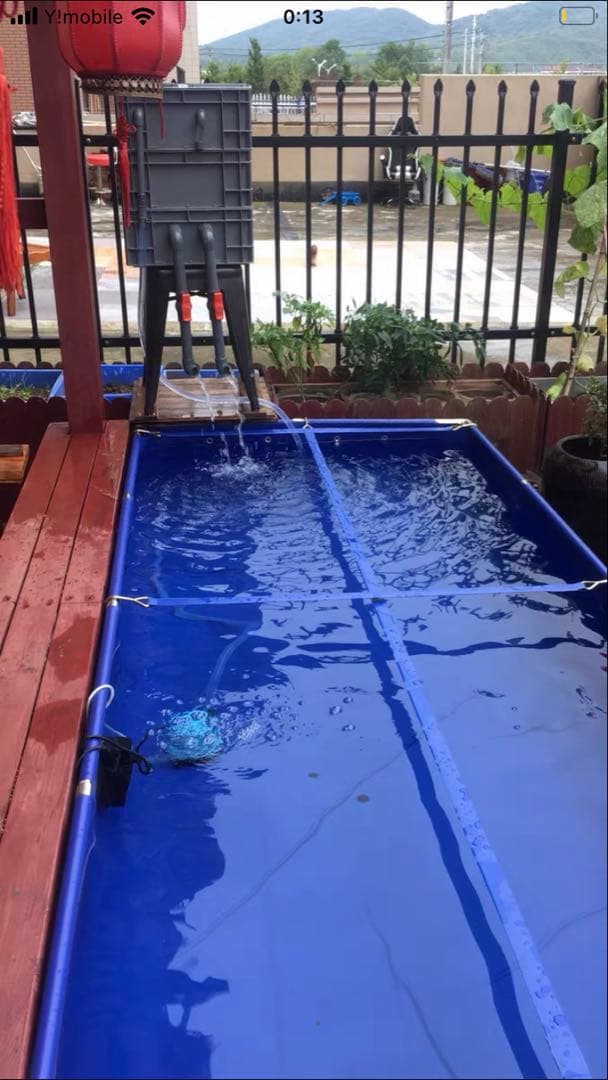 実店舗あり！ポンプ付きセット大型水槽用一体型濾過槽 外部式濾過装置器水槽濾過