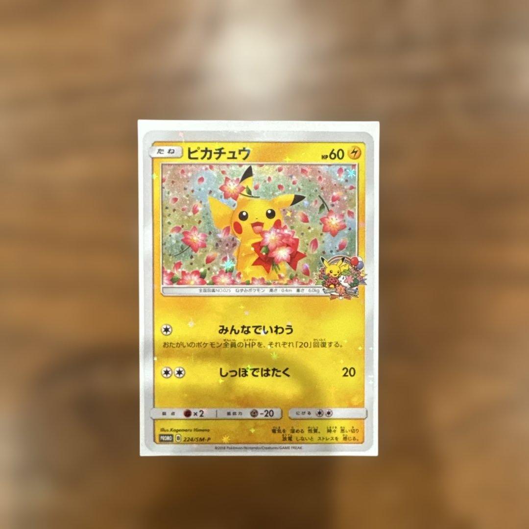 みんなでいわうピカチュウ224/SM-P