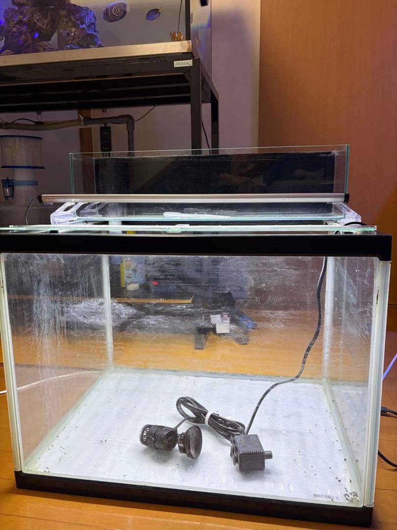 直接引き取り6045ガラス水槽 リフジウム水槽 その他おまけ付き