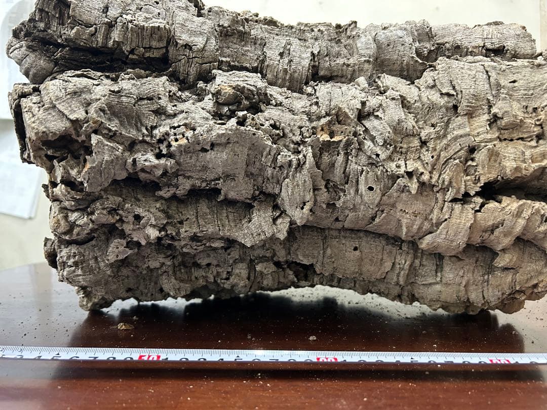 ポルトガル産コルク樹皮ＰＬ-1029-Ｌ12