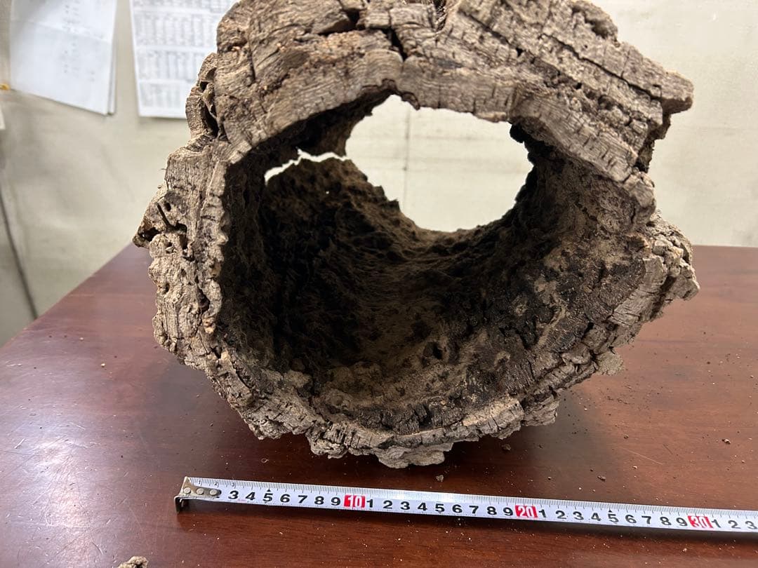 ポルトガル産コルク樹皮ＰＬ-1029-Ｌ12