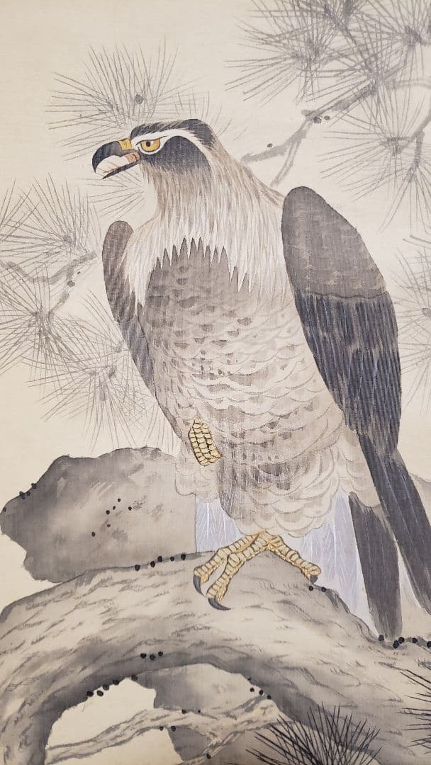 雅堂 「海の荒鷲」 肉筆　共箱　日本画　細密　動物画　アンティーク