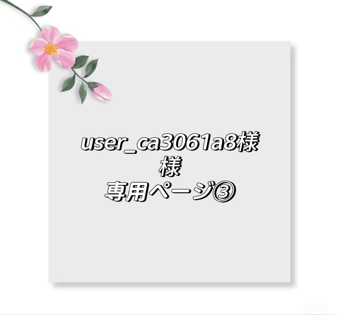 user_ca3061a8ページ③