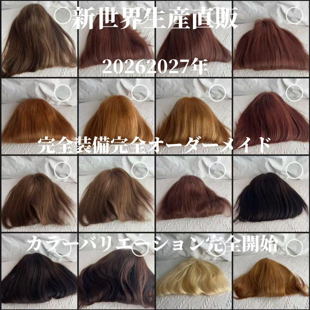 2025新世界　人毛　フルウィッグ　ウィッグ　シルクスキン　医療ウィッグ　レミー