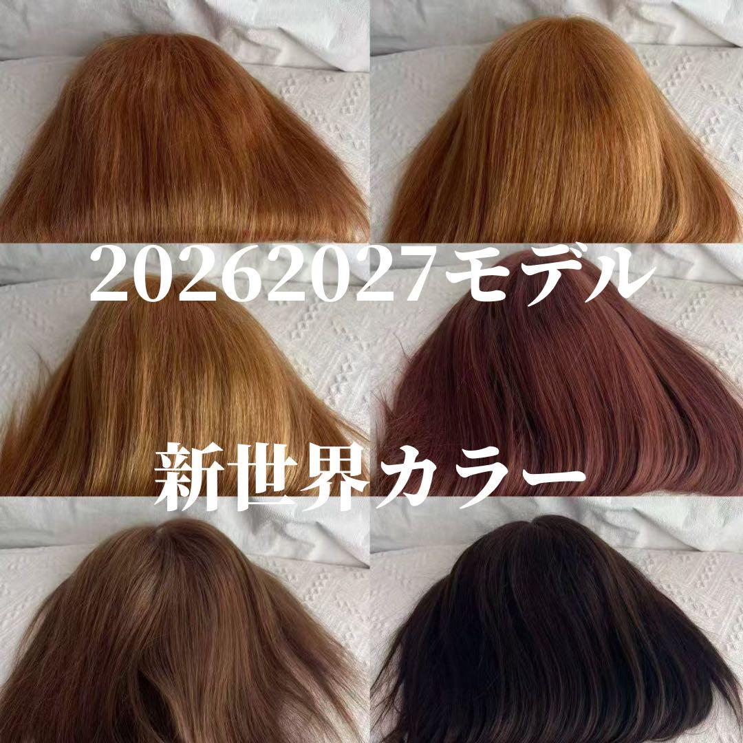 2025新世界　人毛　フルウィッグ　ウィッグ　シルクスキン　医療ウィッグ　レミー