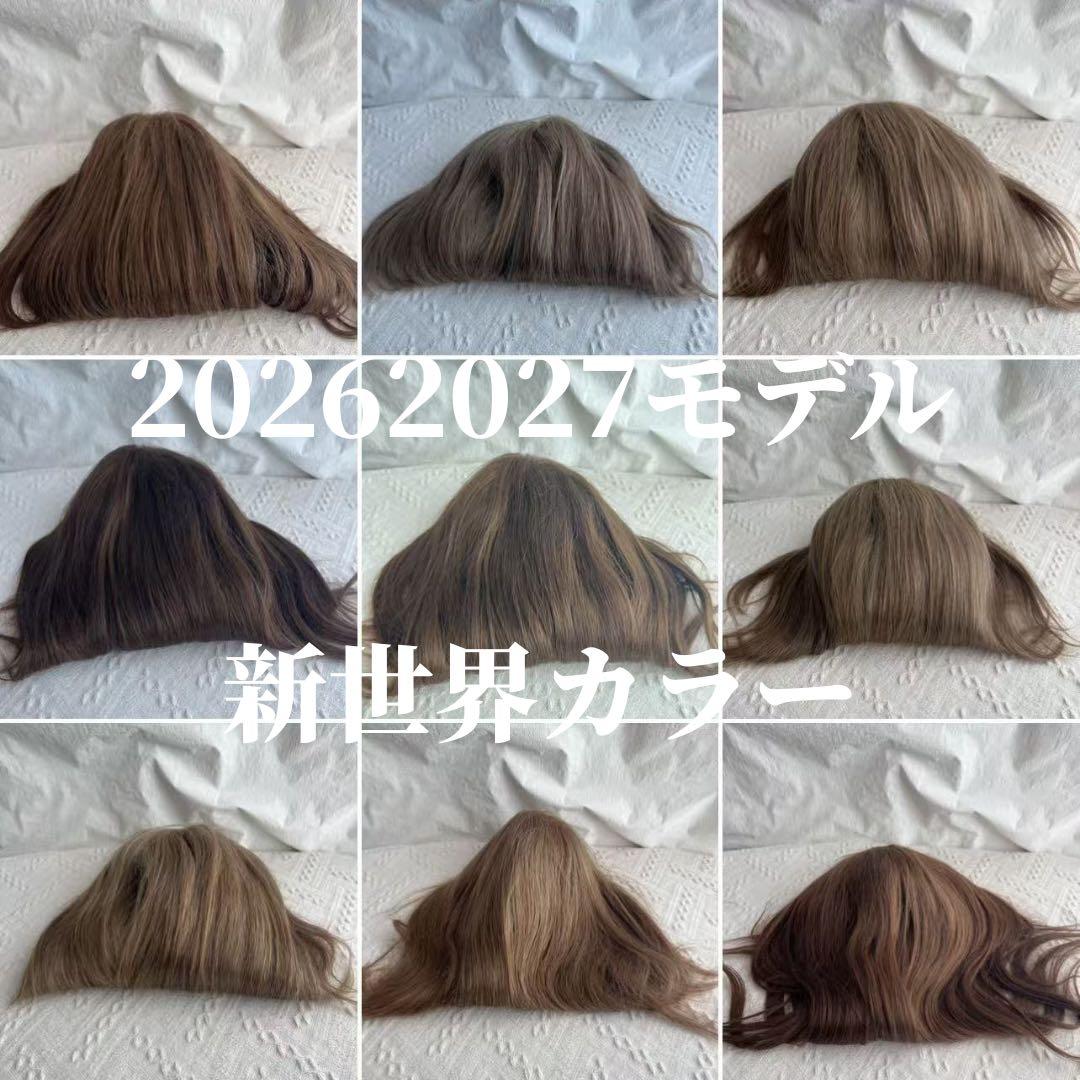 2025新世界　人毛　フルウィッグ　ウィッグ　シルクスキン　医療ウィッグ　レミー