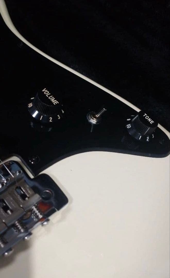 FERNANDES 　STC-50　Allan Holdwarth