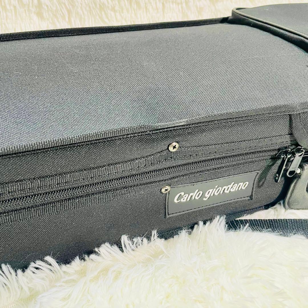 超美品　カルロジョルダーノ　サイレントバイオリン　EV-201 付属品多数