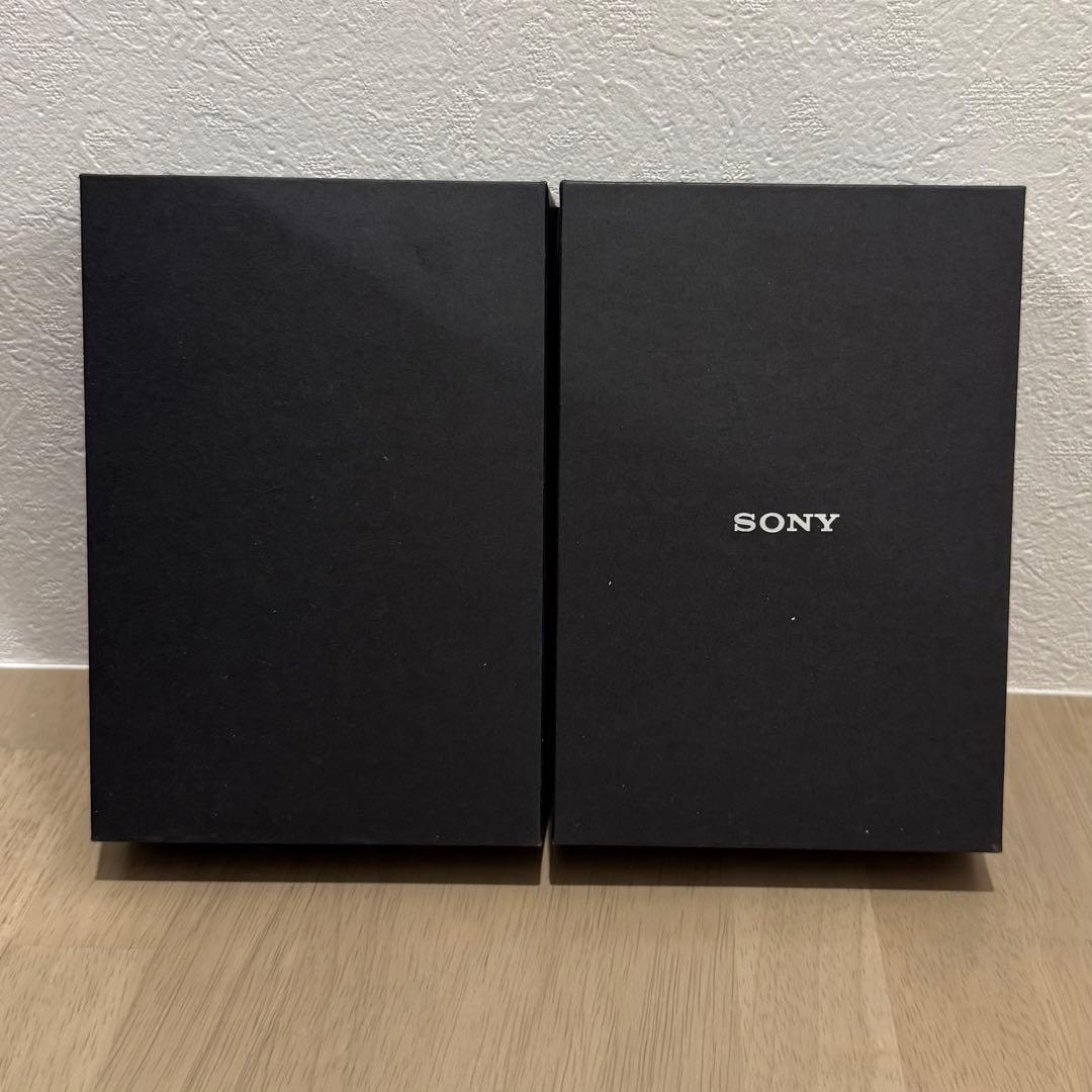 SONY NW-WM1A ケース付き