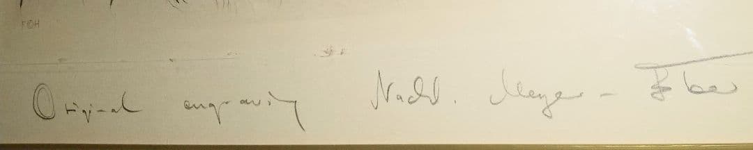 『2匹のテリア犬』ヴィンテージ銅版画  Meyer Eberhardt