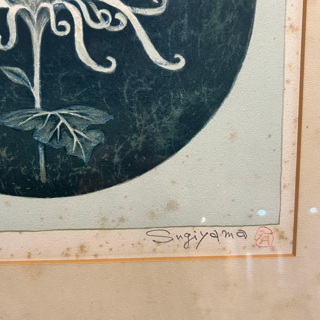 杉山有　リトグラフ　菊　4/50 Sugiyamayu