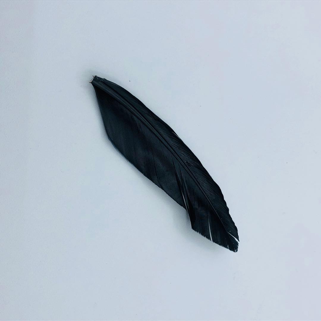 Wings of fallen 堕落之翼 ヘッド 衣装セット ルシファー