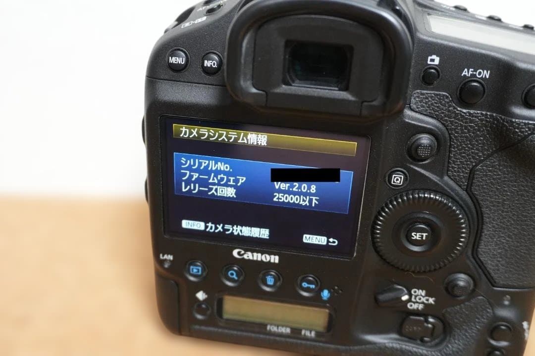 EOS 1DX(無印)/純正バッテリ、CFメディア、他付属品