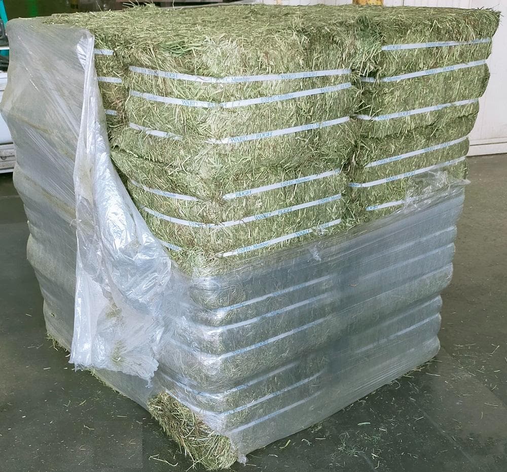 【6/15まで】US産 チモシー 50kg ２番刈 ソフトSプレミアム