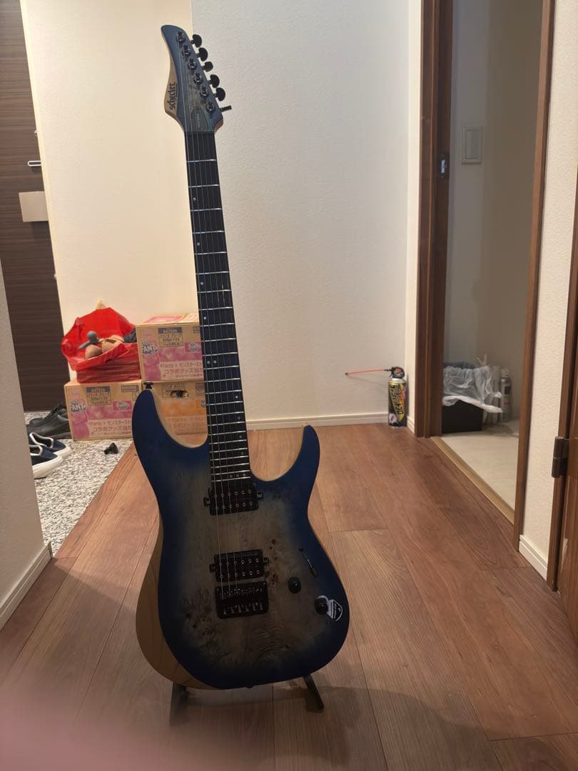 Schecter (シェクター) sRraper-6