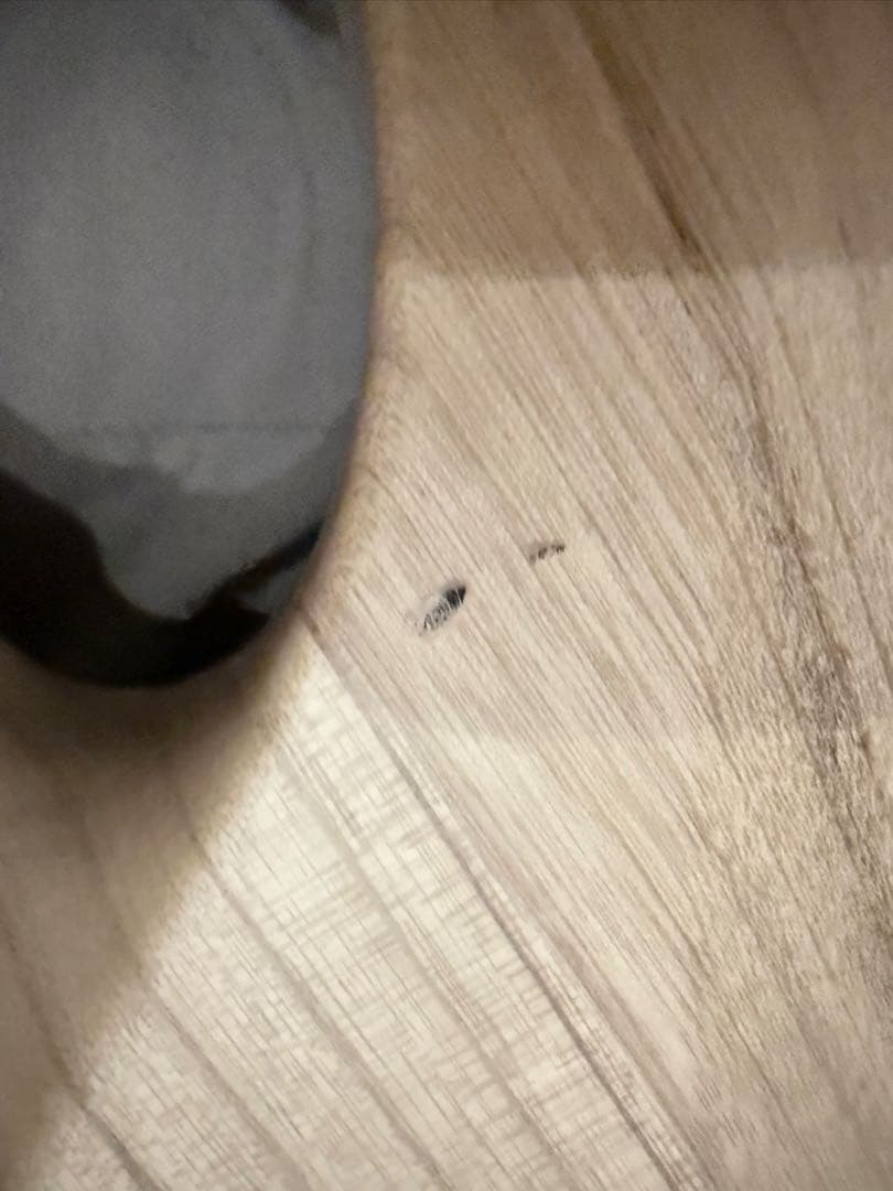 Schecter (シェクター) sRraper-6