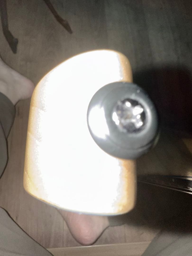 Schecter (シェクター) sRraper-6