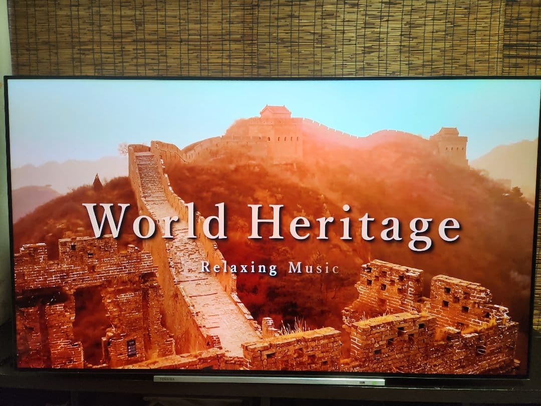 東芝　REGZA　有機ELテレビ　タイムシフト　55X920