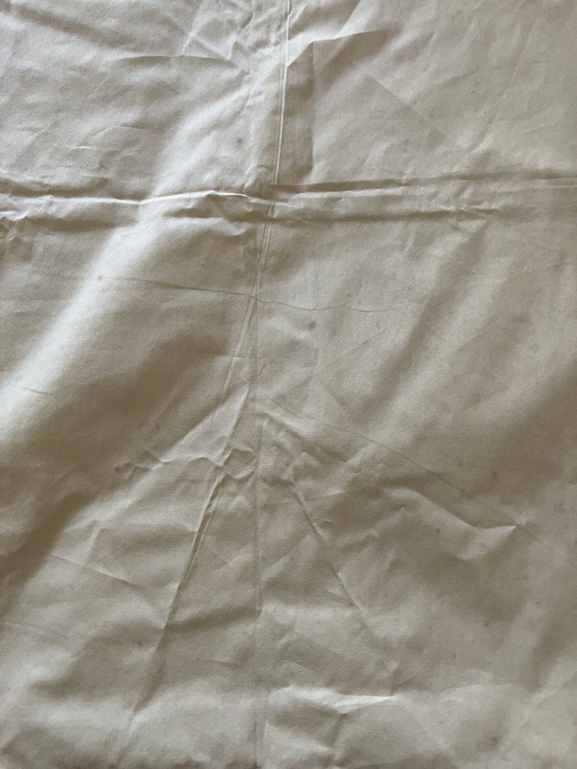 マ*ウ様 藤城清治 月光の響き 限定　409/450