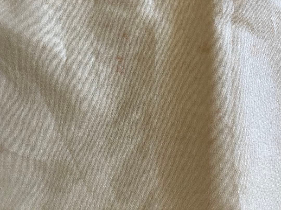 マ*ウ様 藤城清治 月光の響き 限定　409/450