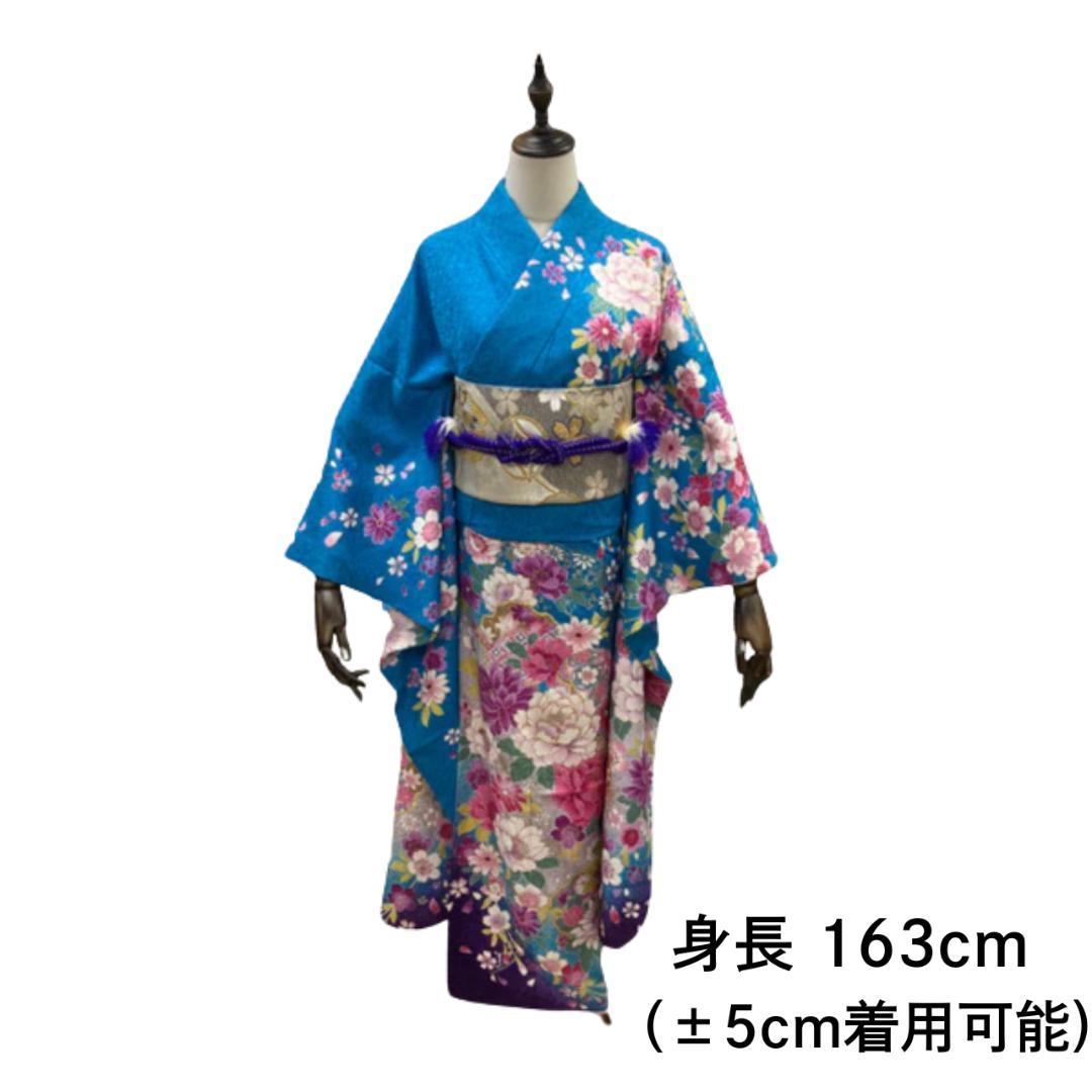 ≪早い者勝ち≫【美品】 振袖セット 成人式 正絹 古典柄 S*18 ●