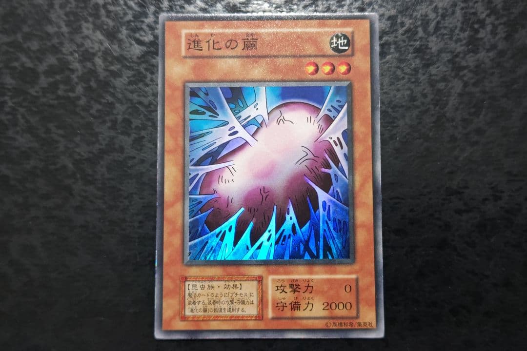 まねきねこ　遊戯王カード