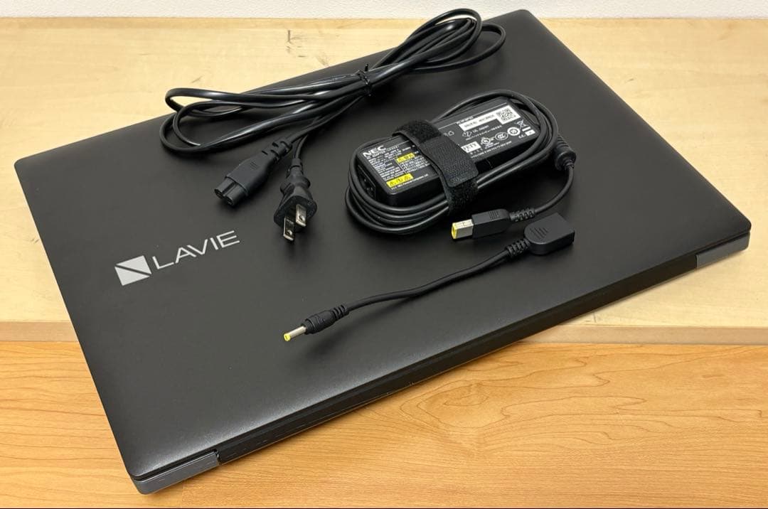 Windowsノート本体 LAVIE Direct NS(A)GN31WQ (A9/16GB/120GB)