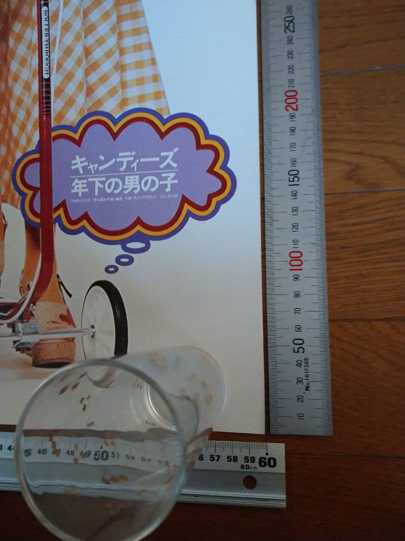 キャンディーズ ポスター 当時物、非売品！年下の男の子