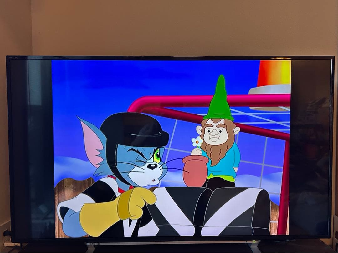 regza 49J20X 49インチ　タイムシフトマシン