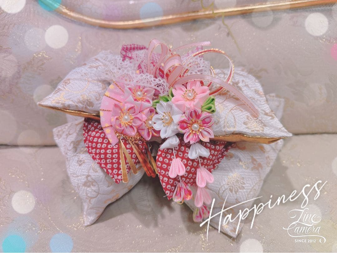 B411.pon2pan2☆オーダー☆犬お着物☆2ウェイお着物☆犬お引きずり着物