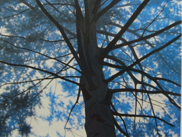 千住博、【 樹の声を聴く】、希少な画集画、新品高級額 額装付、状態良好