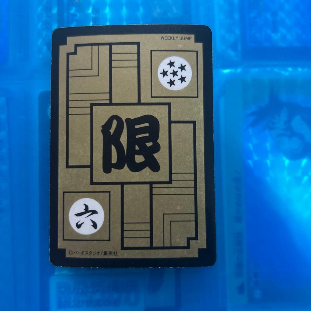 ドラゴンボール　カードダス めちゃんこプロジェクト　Ⅵ