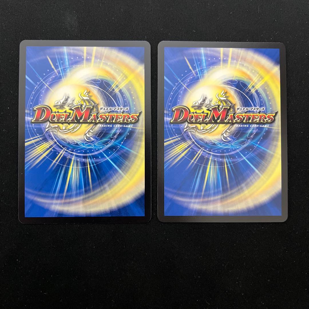 【翌日発送/匿名発送追跡あり】真気楼と誠偽感の決断　シークレット