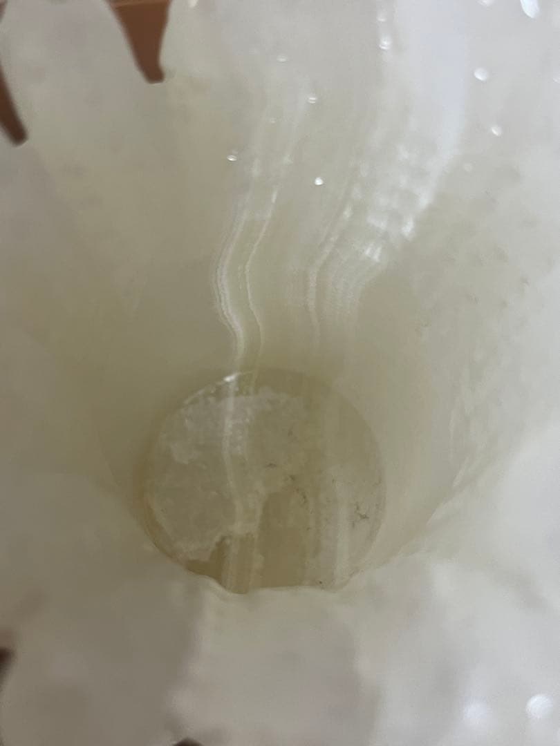 白玉石　富貴牡丹 中国美術