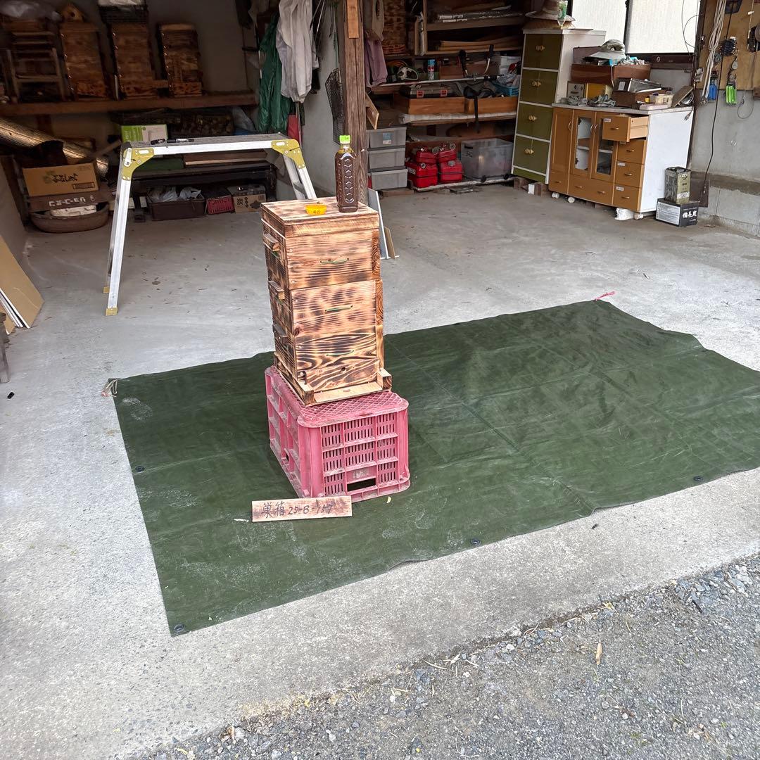 ミツバチ巣箱　25-B−157