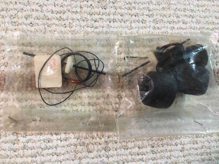 激レア テストショット品 タミヤ 1/20 ウルフ・フォードWR1