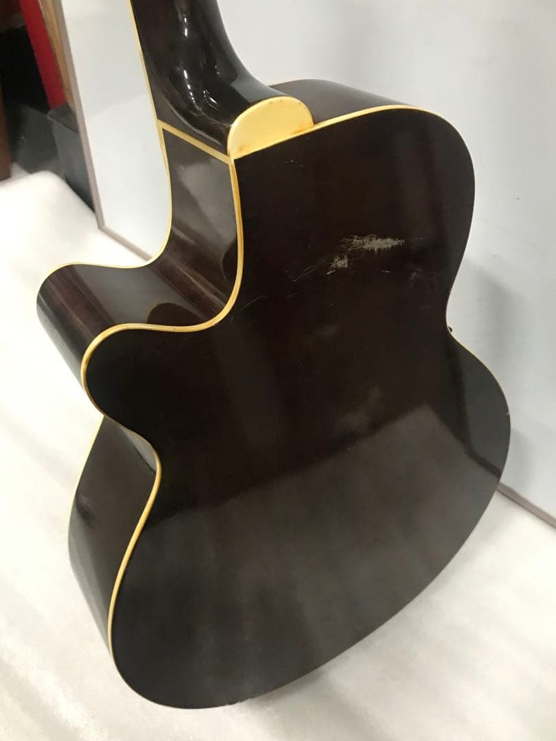 Aria FET-500 EBS Elecord Series エレアコ