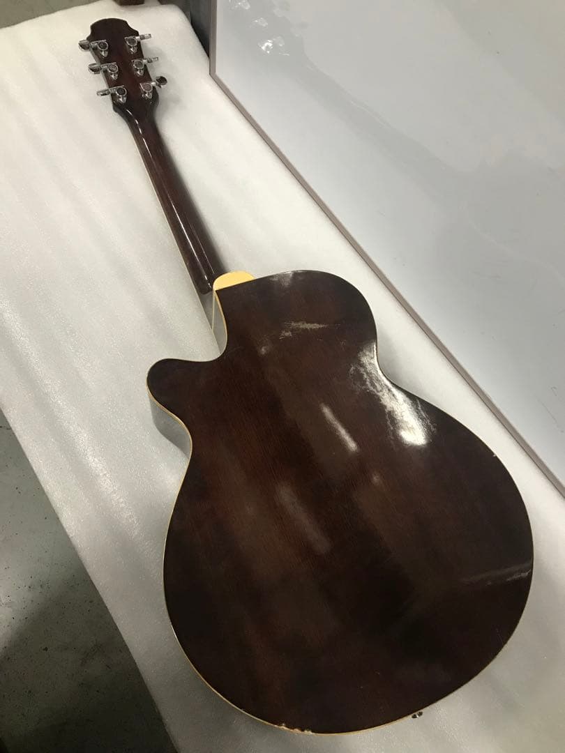 Aria FET-500 EBS Elecord Series エレアコ