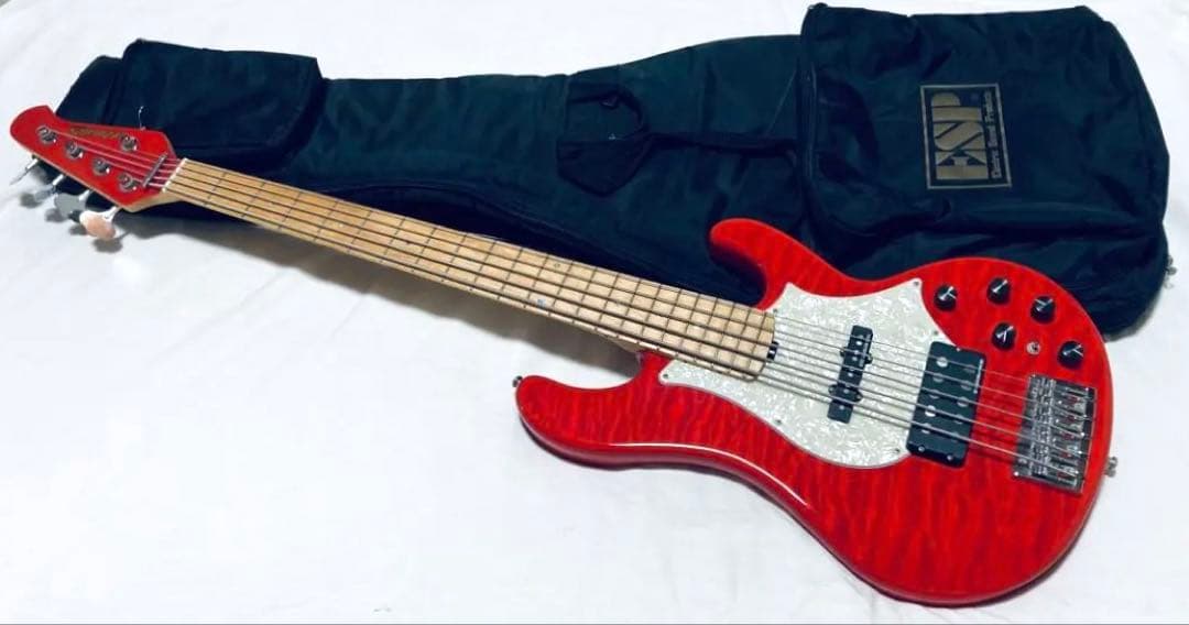 極美品 完備品 Edwards E-T-170BD レッド ラルク テツヤ