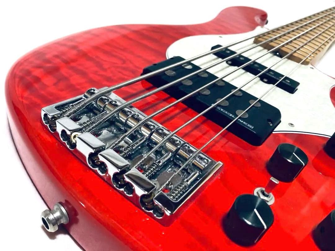 極美品 完備品 Edwards E-T-170BD レッド ラルク テツヤ