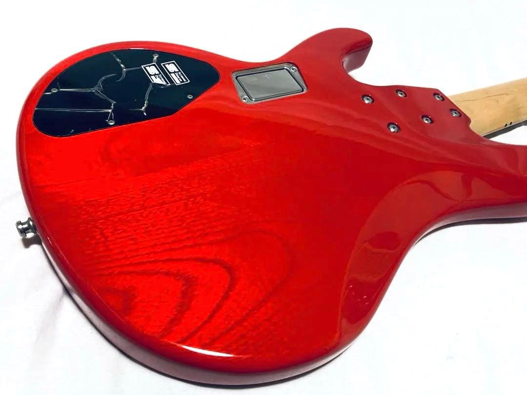 極美品 完備品 Edwards E-T-170BD レッド ラルク テツヤ