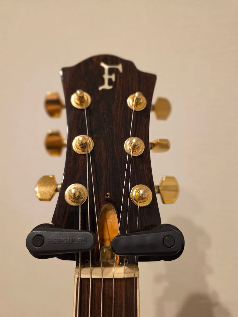 hideモデル MG-80X FERNANDES 美品！