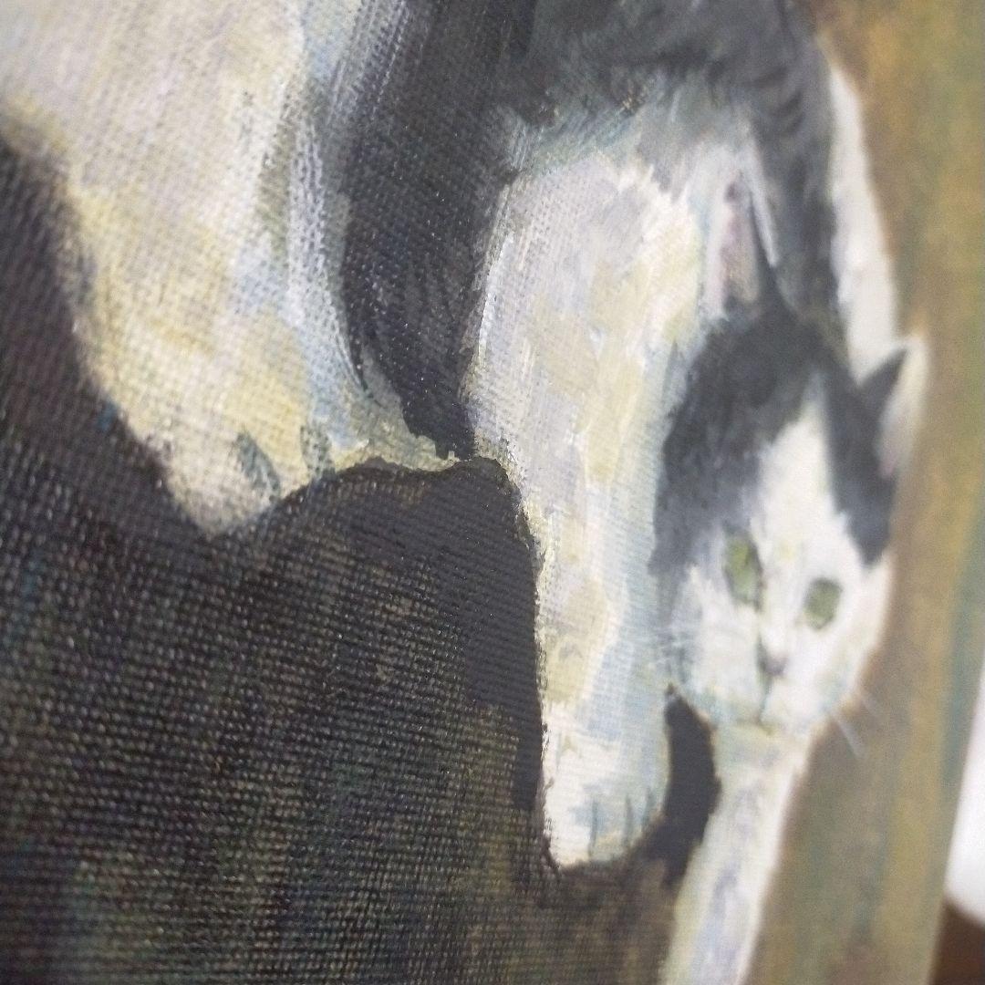 睨む猫 河川敷にて